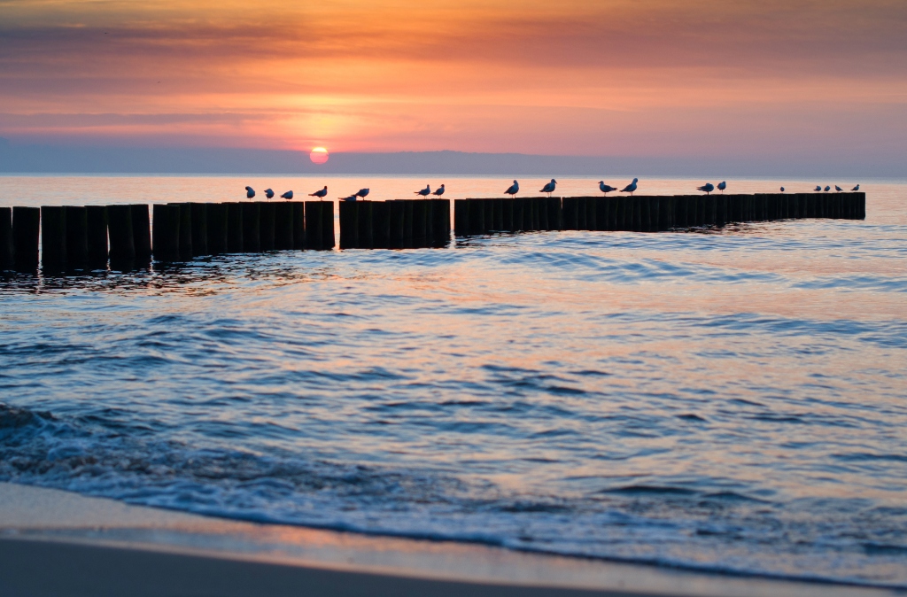 Keep the Baltic Sea clean and safe!