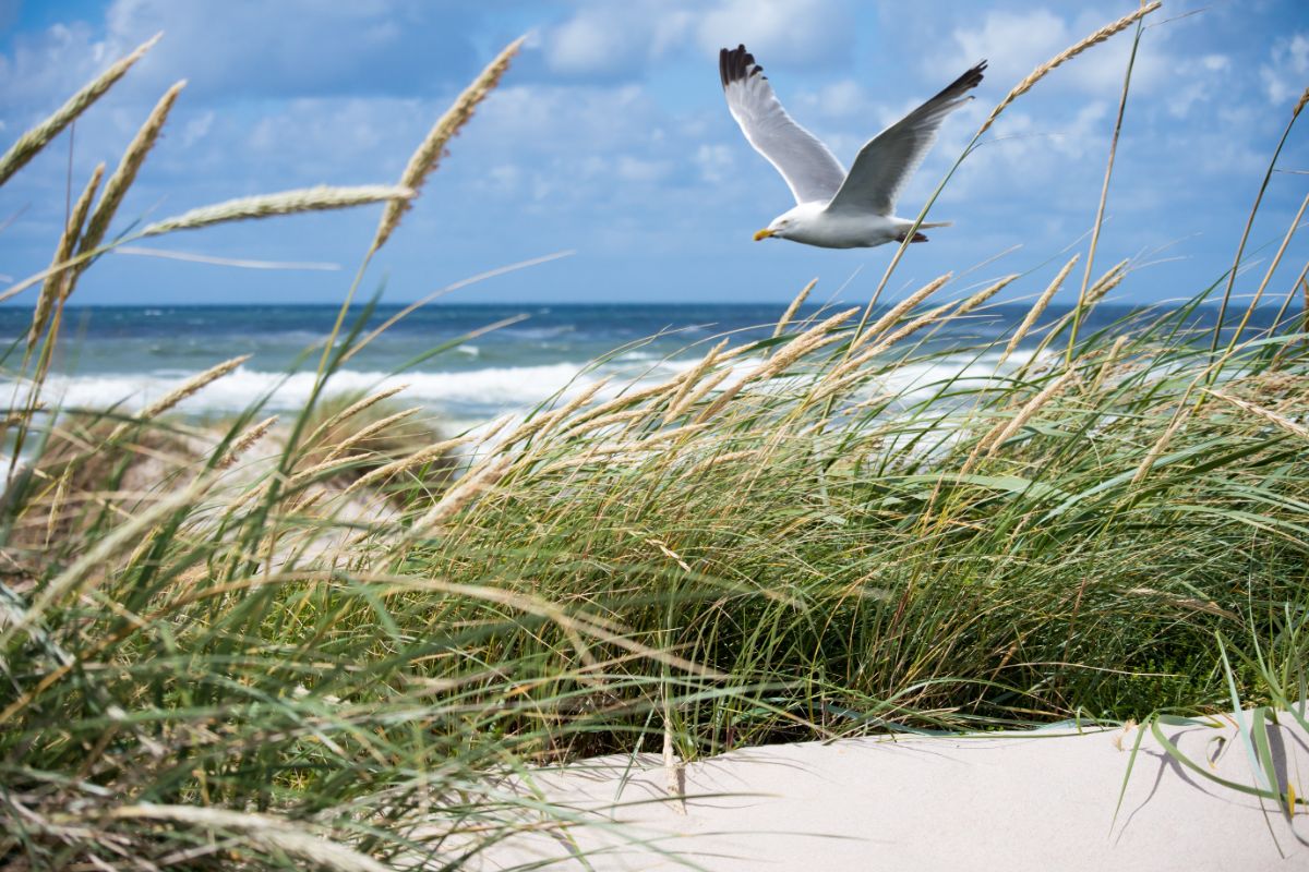 Stop new oil and gas extraction in the Baltic Sea!