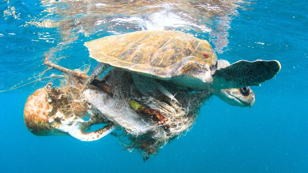 Beendet das Plastikzeitalter!