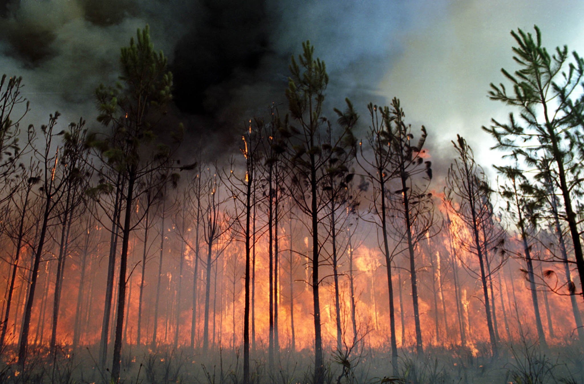 We won’t let climate-deniers rest