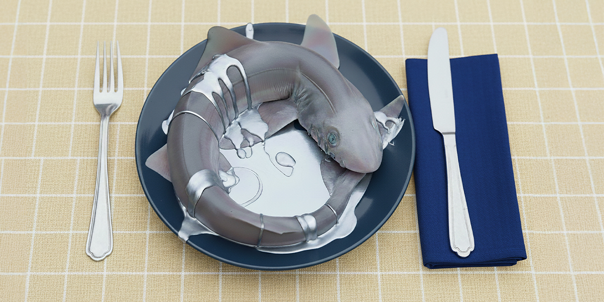 Healthy oceans, safe future: stop the toxic shark trade